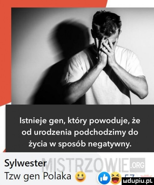 istnieje gen który powoduje że od urodzenia podchodzimy do życia w sposób negatywny. sylwester tlw gen polaka   m