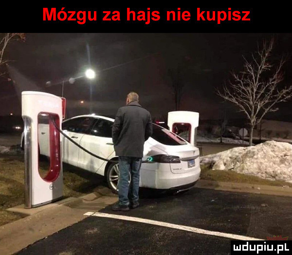 mózgu za hajs nie kupisz