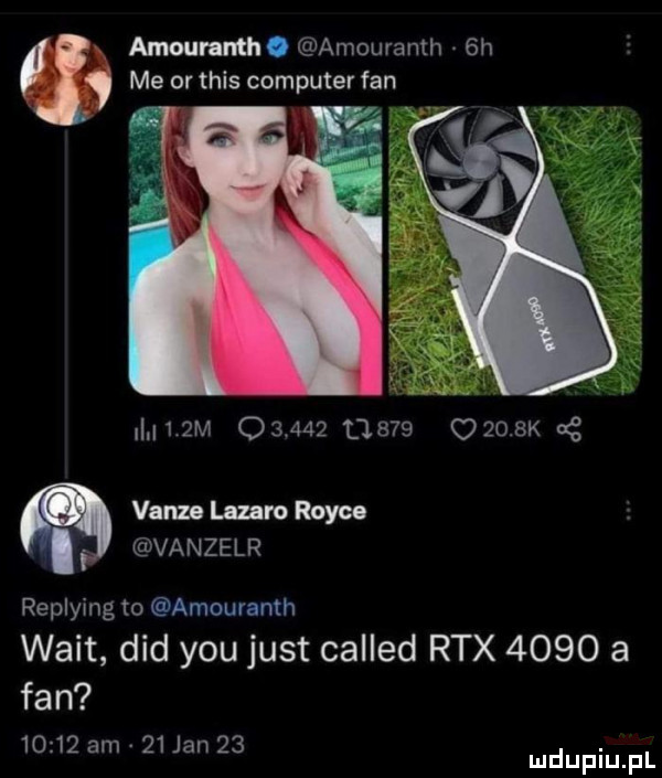 amour nth. amouranth  h me or tais computer fan i.    m              omsk a van lu ro rolce varze lr replying to amouranth walt ddd y-u just called rex      a fan       am    jan   . mduplu pl