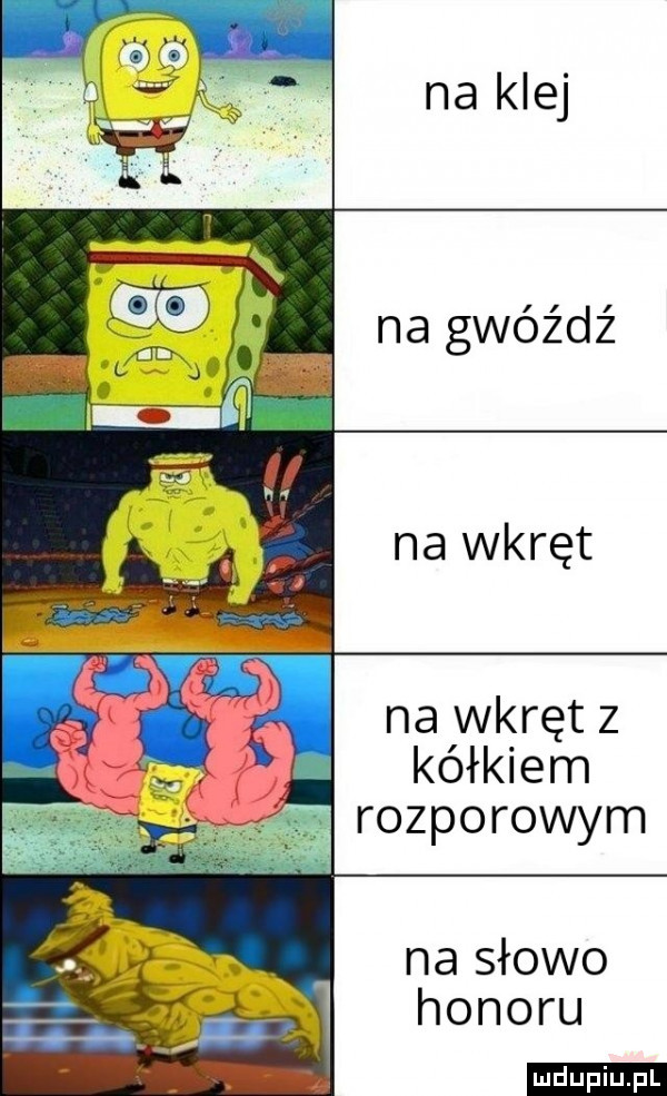 na klej na gwóźdź na wkręt na wkręt z kółkiem rozpo rowem na słowo honoru ludu iu. l