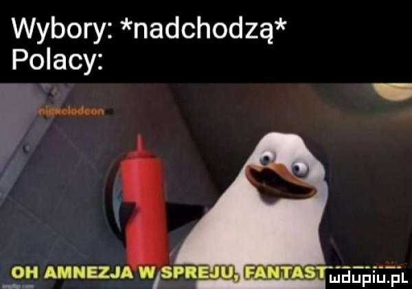 wybory nadchodzą polacy w o amnezja impr
