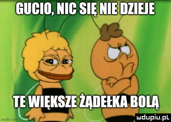 iiiigiii. iiiii się icie illicie. y. tewieksie żaiieliiii biela