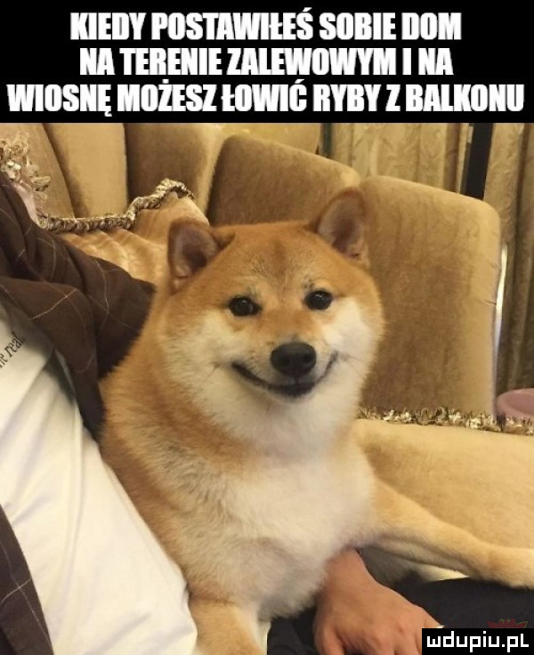 iieiiy i ihs iiwieś sobie ml ibl i eieiiie w i iii wiiisiię wiesz mi baby l bllllllll jdupiupl