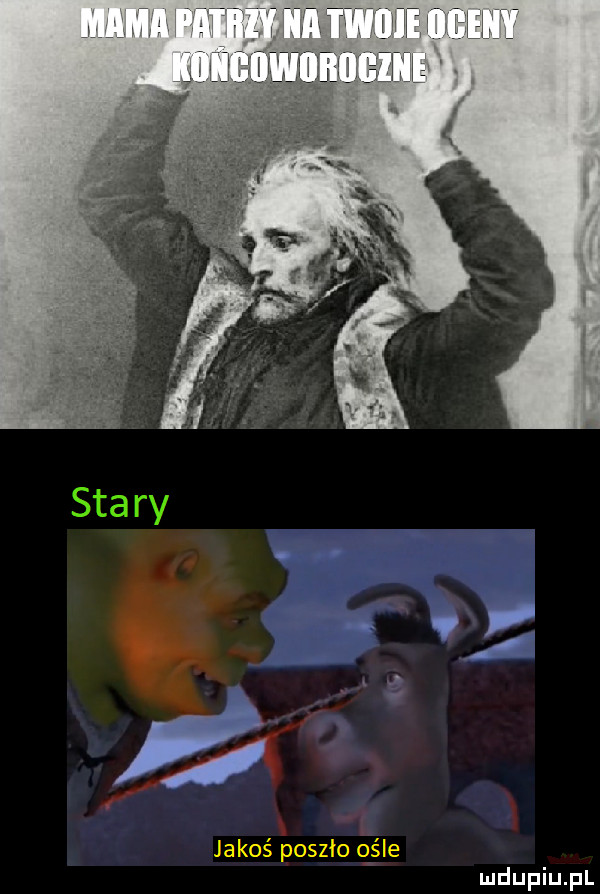 jakoś poszło ośle