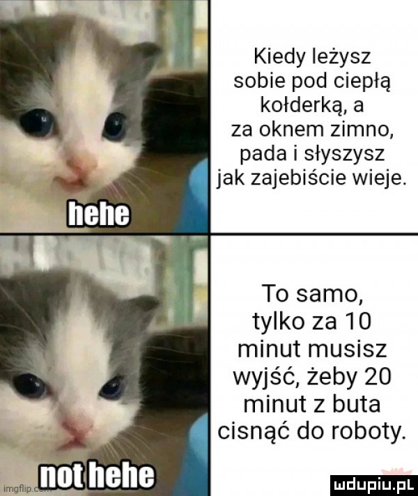 kiedy leżysz sobie pod ciepłą kołderką a za oknem zimno pada i słyszysz jak zajebiście wieje. tylko za    minut musisz wyjść żeby    minut z buta cisnąć do roboty. ludu iu. l