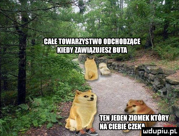 nn ehm um mduplu pl