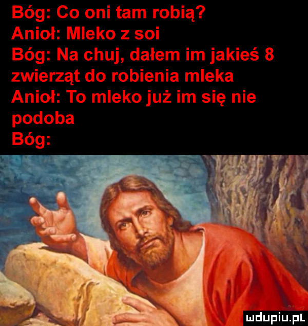 Obrazek