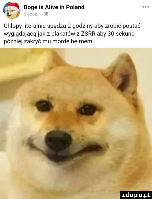 doje is alice in poland v. chłopy literalnie spędzą   godziny aby zrobić postać wyglądającą jak z plakatów z zsrr aby    sekund później zakryć mu morde helmem   ja