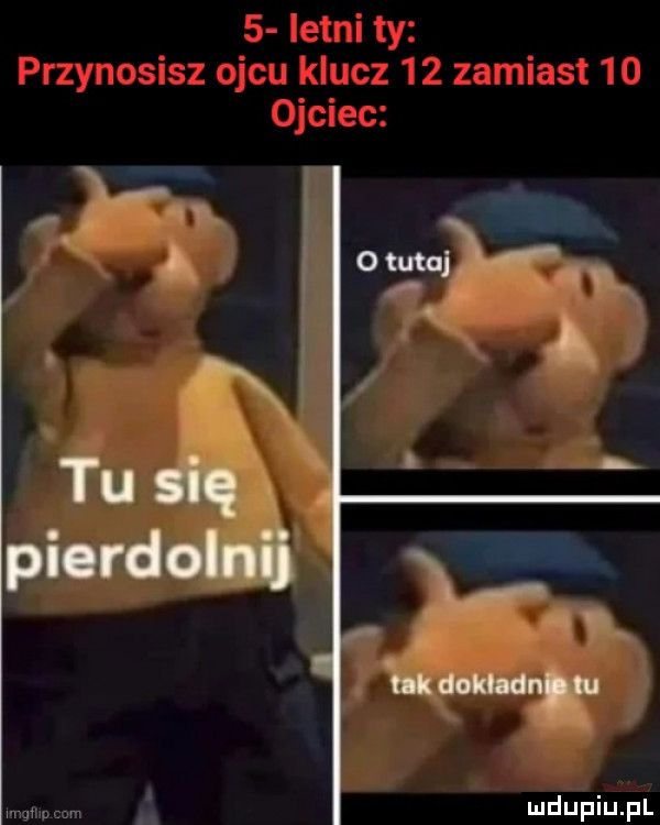 tu się pierdolnij x nk dokludn lu v n n