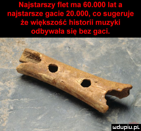 najstarszy flet ma        lat a najstarsze gacie        co sugeruje że większość historii muzyki odbywała się bez gaci. ludu iu. l