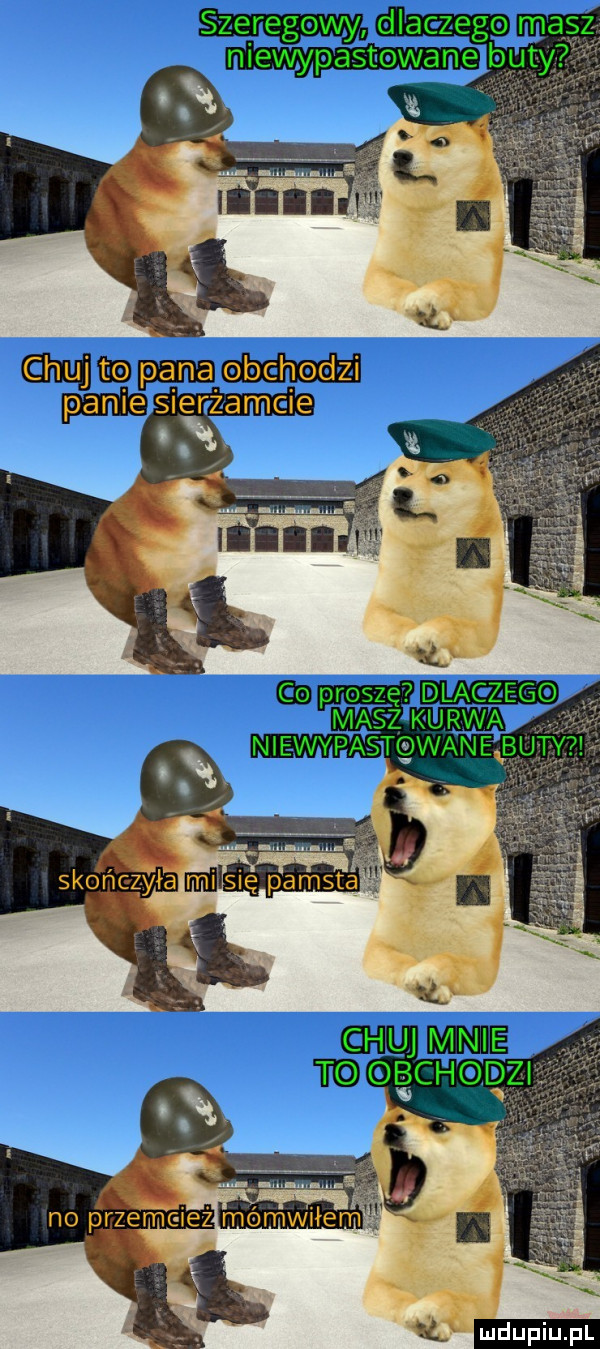 dlac zele ma byty vc