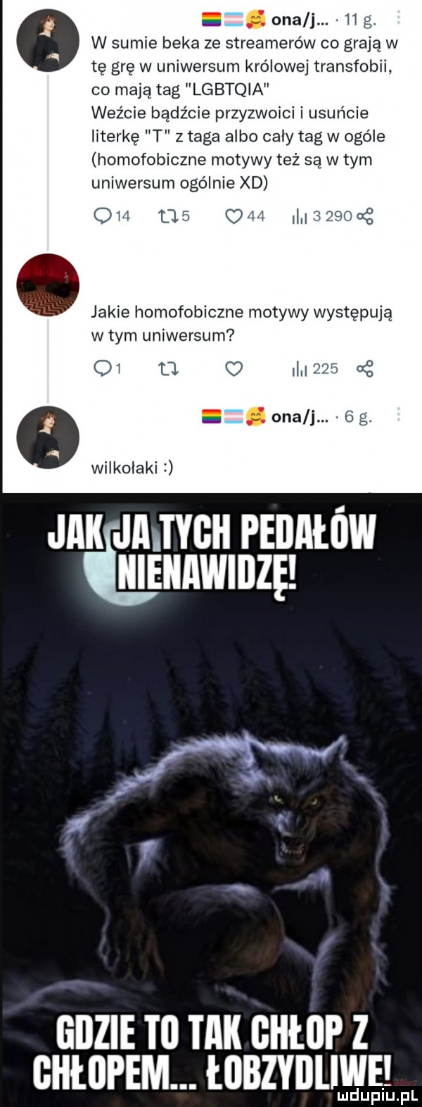 ona j.   g. w sumie beka ze streamerów co grają w tę grę w uniwersum królowej transfobii. co mają tag lgbtqia weźcie bądźcie przyzwoici i usuńcie literkę t z taga albo caby tag w ogóle homofobiczne motywy też są w tym uniwersum ogólnie xd oh    c    i   q jakie homofobiczne motywy występują w tym uniwersum oi a o i       e ona j. abakankami   g. wilkołaki jak mru peilntńw manualną gdzie ibl tak giiłiip z ghłiipem. łobzyiiliwe