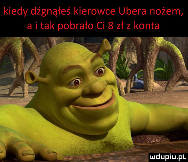 Obrazek