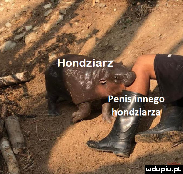 Obrazek
