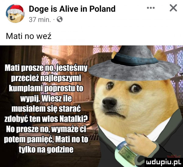 doje is alice in poland   mm   maci no weź łżęłęęęę eeeęęśłt illllllllalll nonmslu i musialem się starać zllnlm ten wlns natalki ian nrosze no. mmaie éf nutem nacięć mali na m wiki na illllille k