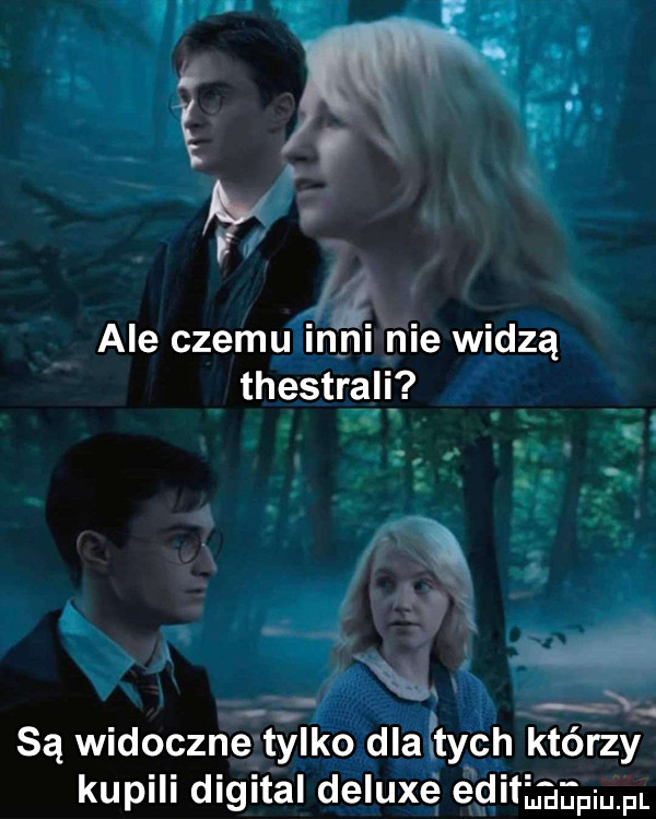 ale czemu inni nie widzą thestrali a x. abakankami. v. ś a. l. abakankami np n są widoczne tytylko dlaftych którzy kupili digital deluxe e ditiaapium