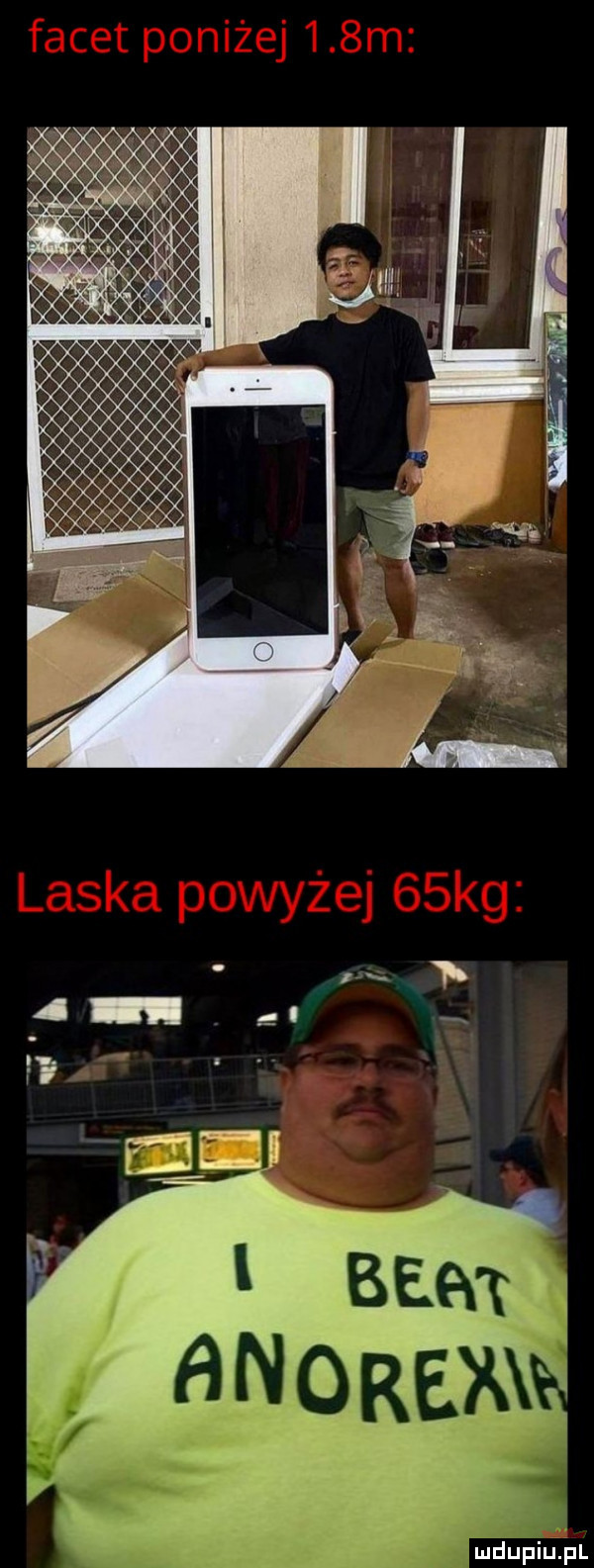 Obrazek
