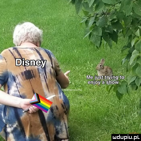 Obrazek