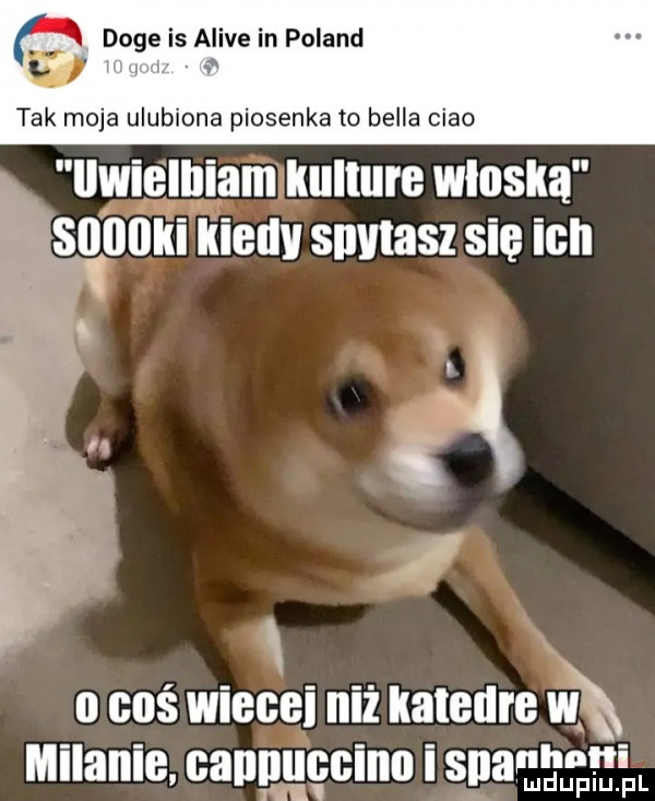 ﬂ doje is alice in poland tak moja ulubiona piosenka to bella ciao uwielbiam kulture wloska      kiedy smnasz się ich   boś wiecki ilii katedra w milanie cangqgcino i spal hh ludupiu pl