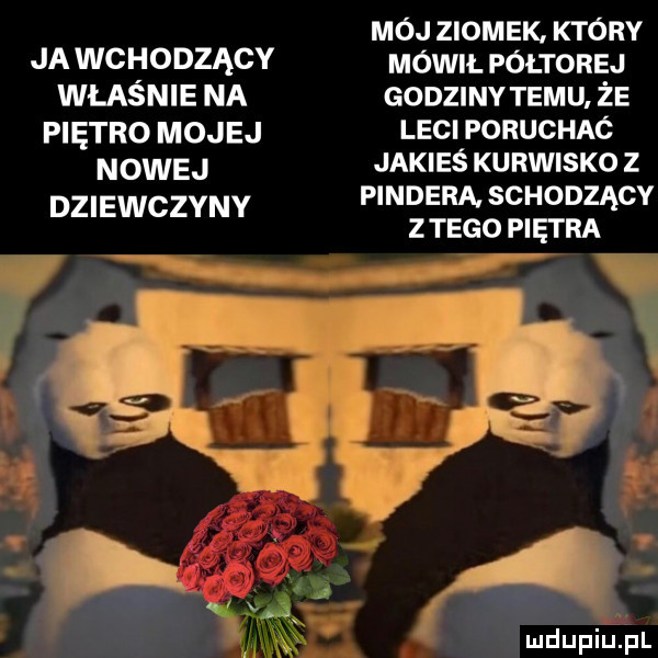 ja wchodzący właśnie na piętro mojej nowej dziewczyny mój ziomek. który mówil półtorej godziny temu że leci poruchac jakieś kurwisko z pinnera schodzący z tego piętra