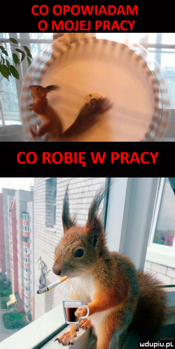 co opowiadam o mojej pracy