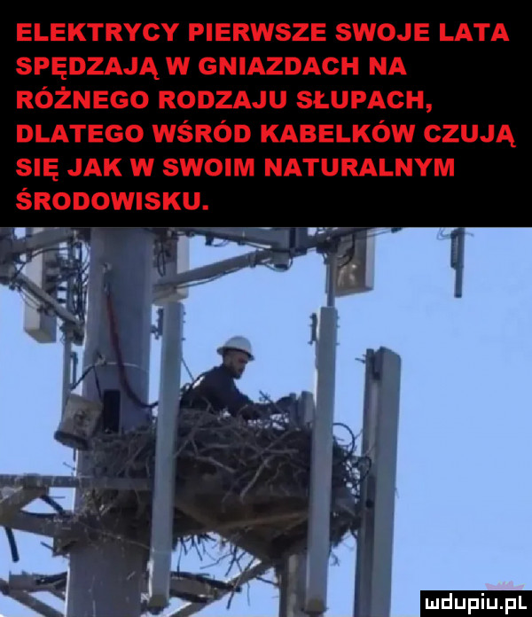 Obrazek