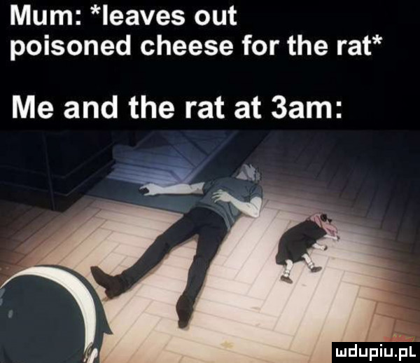 mam leaves out poisoned cheese for tee rat me and tee rat at  am mdupiuliaili