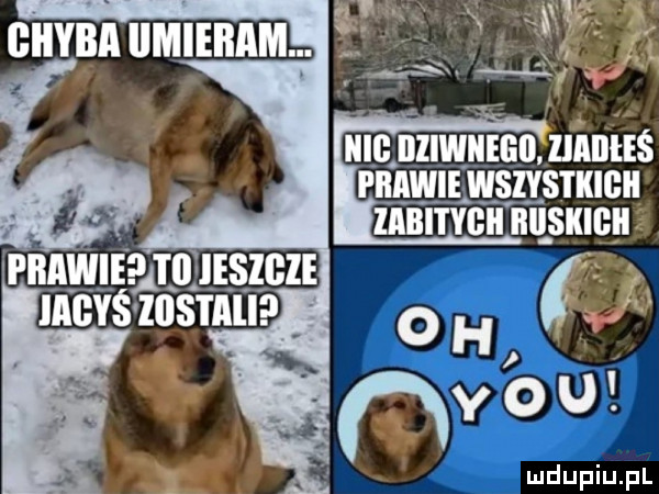 Obrazek
