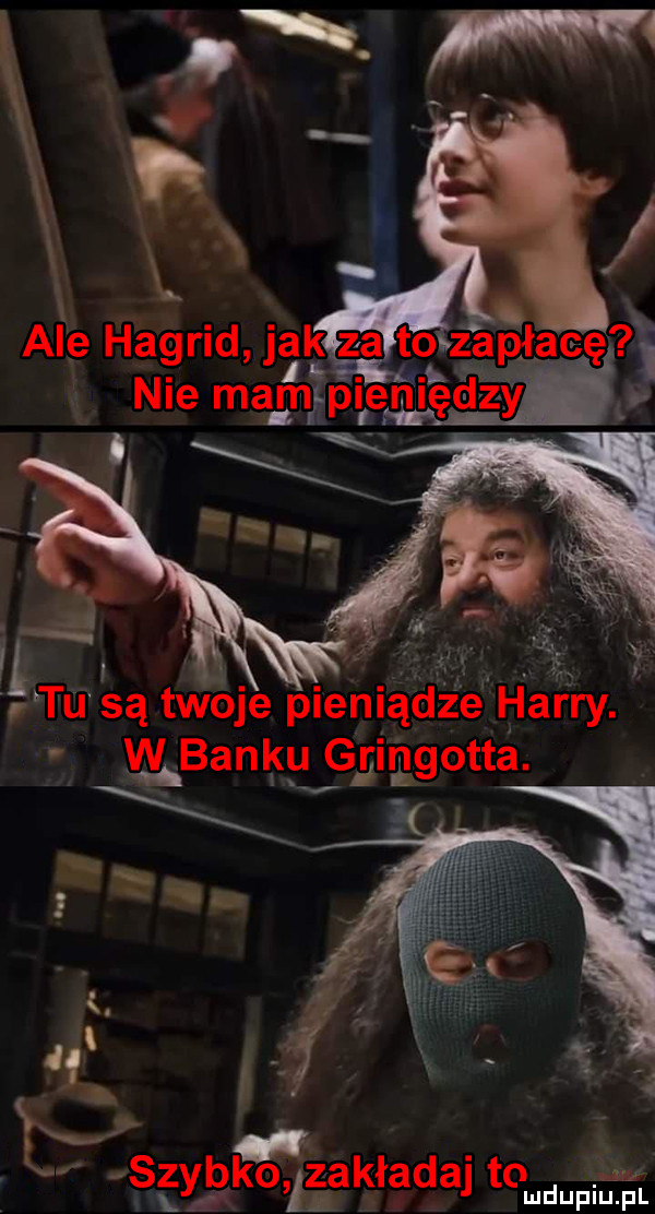 u tu są twoje plenlądze harry. w bandy gringotta. viszybﬁzaktadaj to ludupiu. pl