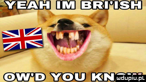 y-u k n maina