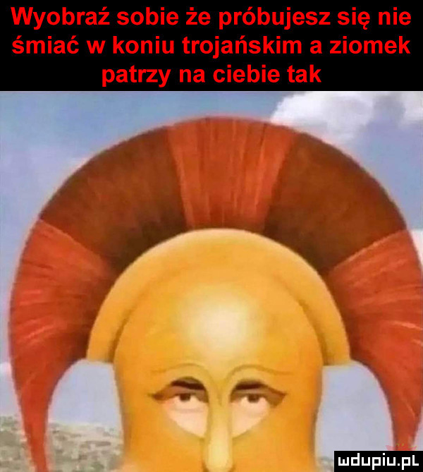 wyobraź sobie że próbujesz się nie śmiać w koniu trojańskim a ziomek patrzy na ciebie tak ludu iu. l