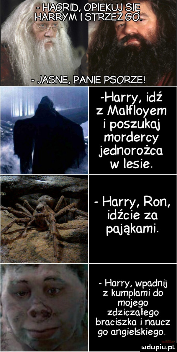 mgr osieku j harrym l strząś v jasne panie psorze harry idź z malfloyem i poszukaj mordercy jednorożca w lesie. harry ron idźcie za pająkami. harry wpadnij z kumplami do mojego zdziczałego braciszka i naucz go angielskiego