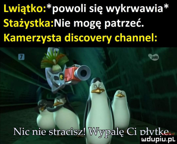 lwiątko piwo i się wykrwawia stażystka nie mogę patrzeć. kamerzysta discovery channel i   e. i ii i palę ci dłvtkm nic nie stramsz mduplu pl