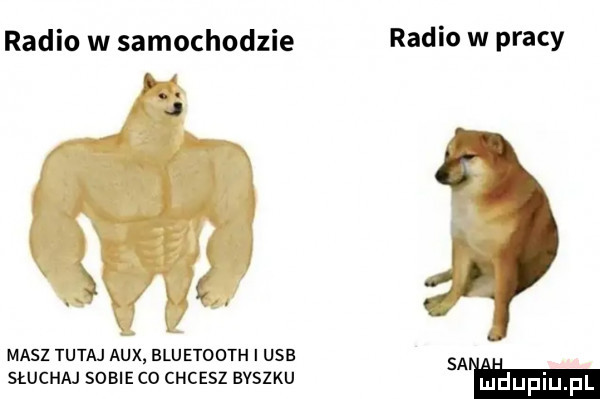 radio w samochodzie i j   a masz tutaj atx bluetooth i usb słuchaj sobie co chcesz buszku radio w pracy
