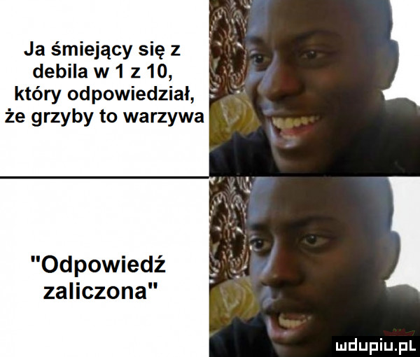 ja śmiejący się z debila w   z    który odpowiedział że grzyby to warzywa odpowiedź zaliczona