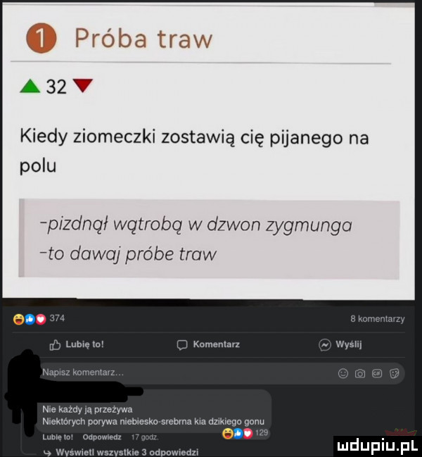 ﬂ próba traw a   kiedy ziomeczki zostawią cię pijanego na polu pizdnął wątrobę w dzwon zygmunto to dawaj probe traw a. u lome mw svcbma ma amiga genu