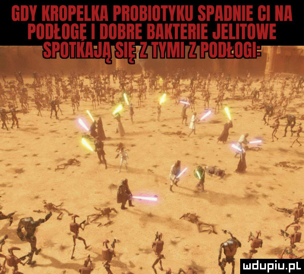 oby kropelka probiotyku spﬂdllle oi ica poołooe i oobbe bﬂkteiiie jelitowe spotkaeią się z tymi z podłogi
