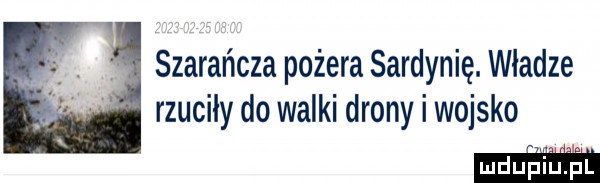 szarańcza pożera sardynię. władze rzucily do walki drony i wojsko