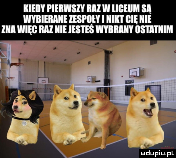 kieiii pierwszy ml w llﬂlllﬂ sci wybieram iespiiiy i iiiii i gnę iii libii wręg iiiii icie ihs i eś mev ihs iii i iiim