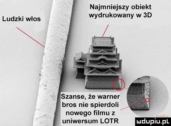 najmniejszy obiekt ludzki włos wydrukowany w  d szanse że warner bros nie spierdoli nowego filmu z uniwersum lotr