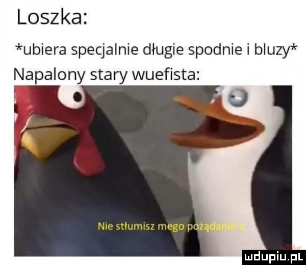 loszka ubiera specjalnie długie spodnie i bluzy napalony stary wuefista o