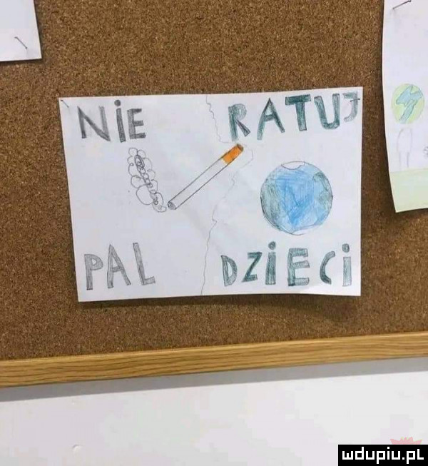 upiu pl