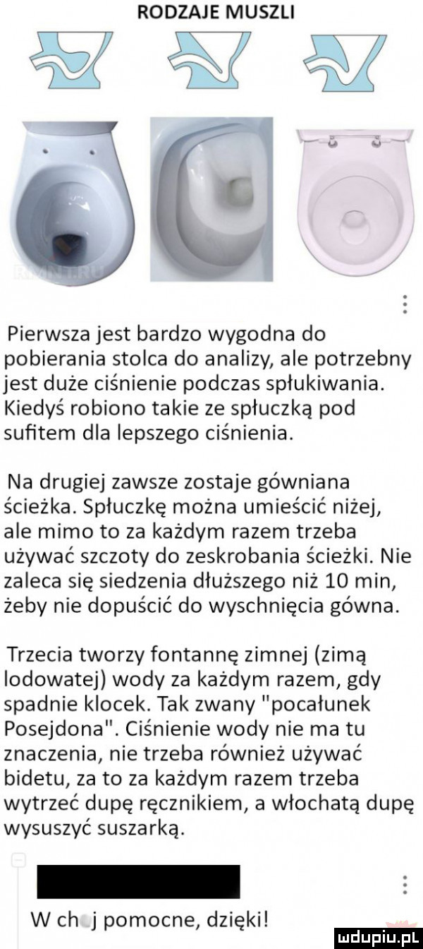 rodzaje muszli pierwsza jest bardzo wygodna do pobierania stolca do analizy ale potrzebny jest duże ciśnienie podczas spłukiwania. kiedyś robiono takie ze spłuczką pod sufitem dla lepszego ciśnienia. na drugiej zawsze zostaje gówniana ścieżka. spłuczkę można umieścić niżej ale mimo to za każdym razem trzeba używać szczoty do zeskrobania ścieżki. nie zaleca się siedzenia dłuższego niż    min żeby nie dopuścić do wyschnięcia gówna. trzecia tworzy fontannę zimnej zimą lodowatej wody za każdym razem gdy spadnie klocek. tak zwany pocałunek posejdona. ciśnienie wody nie ma tu znaczenia nie trzeba również używać bidetu za to za każdym razem trzeba wytrzeć dupę ręcznikiem a włochatą dupę wysuszyć suszarką. w ch j pomocne dzięki