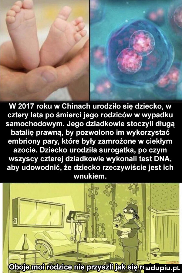 w      roku w chinach urodziło się dziecko w cztery lata po śmierci jego rodziców w wypadku samochodowym. jego dziadkowie stoczyli długą batalię prawną by pozwolono im wykorzystać embriony pary które były zamrożone w ciekłym azocie. dziecko urodzila surogatka po czym wszyscy czterej dziadkowie wykonali test dna aby udowodnić że dziecko rzeczywiście jest ich wnukiem. a l www ak się i łmdupiu. pl