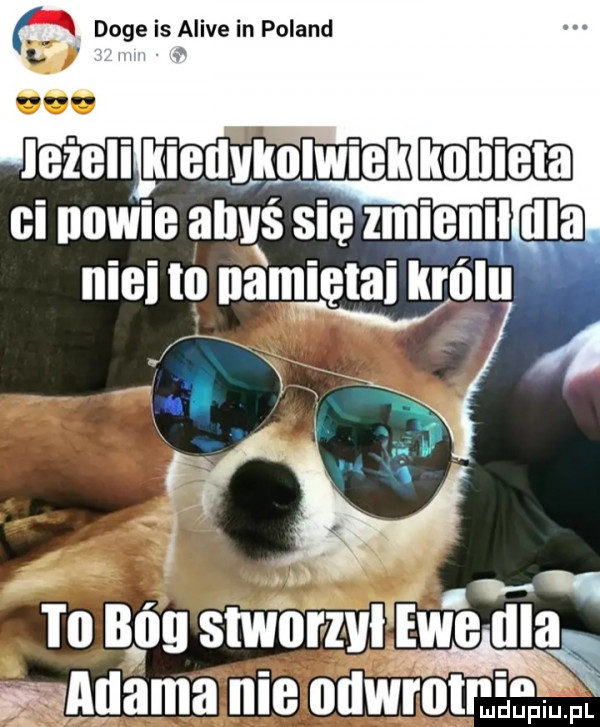 iwś się zmienił he. iiigi m nameętłuynlu fx iv l a. abakankami to ugg stviu vzvłfgwe udałą adama nie odwrot ma