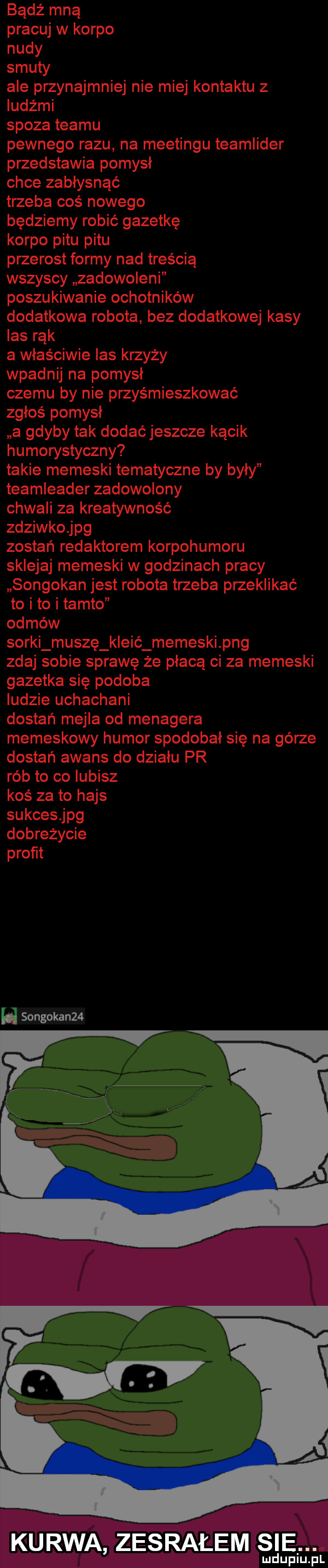 h songokan   kurwa zesralem sie v