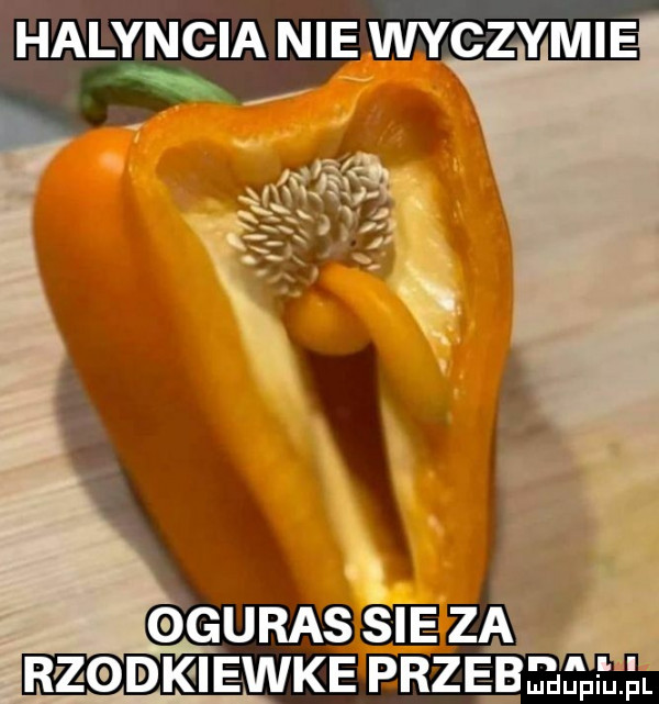 r zodkiewke brzebeesfml
