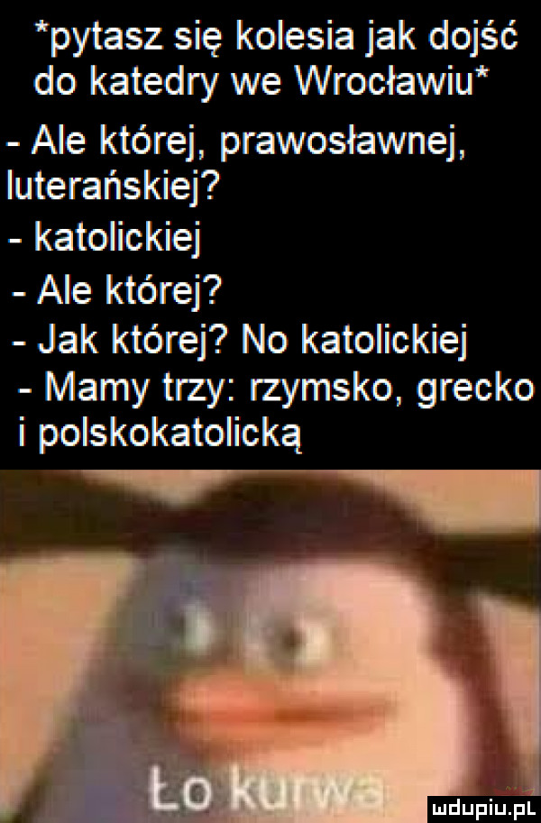 pytasz się kolesia jak dojść do katedry we wrocławiu ale której prawosławnej luterańskiej katolickiej ale której jak której no katolickiej mamy trzy rzymsko grecko i polskokatolicką mdupiu il