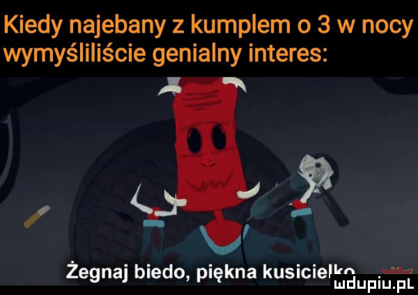 kiedy najebany z kumplem o   w nocy wymyśliliście genialny interes ą żegnaj biedo. piękna kuswle hgup iu. pl