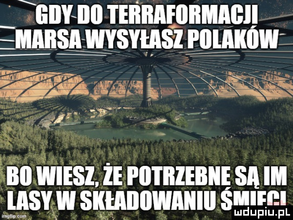 jawna teiirafbbmagi mnnsn ilvsmszﬂlgmw bai wiesz że potrzebie sa im l idy w skmiiiiwaiiiii sill ludupiu. pl